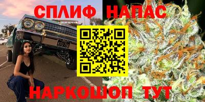spice Кунгур
