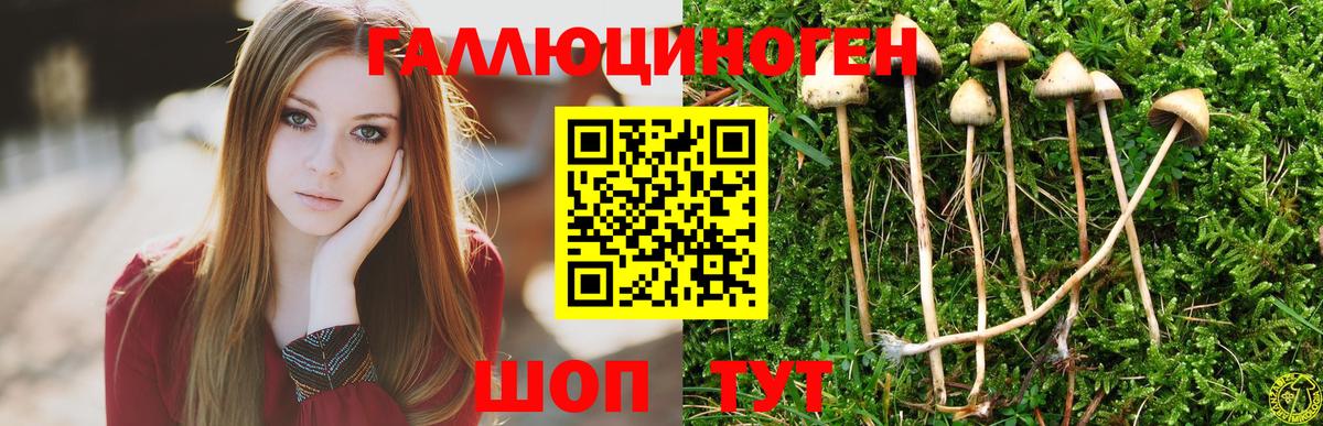 Псилоцибиновые грибы MAGIC MUSHROOMS Избербаш